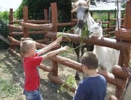 Gyöngyösi Állatkert Vendéglátó és Szabadidőpark